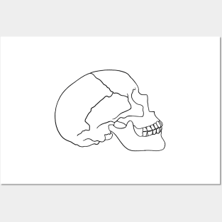 Skull Bone Posters and Art